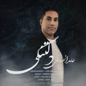 دانلود آهنگ حامد انصاری دلتنگی