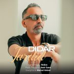 دانلود آهنگ دیدار تردید