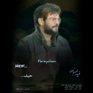 دانلود آهنگ فریدون بیگدلی حیف
