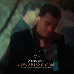 دانلود آهنگ محمد غریبی چه بگویم