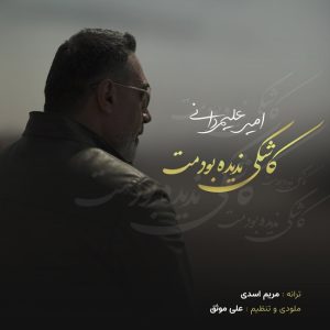 دانلود آهنگ امیر علیمردانی کاشکی ندیده بودمت