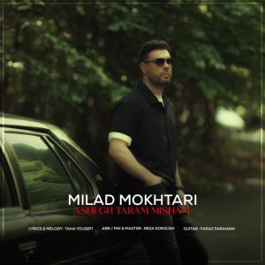 دانلود آهنگ میلاد مختاری عاشق ترم میشم