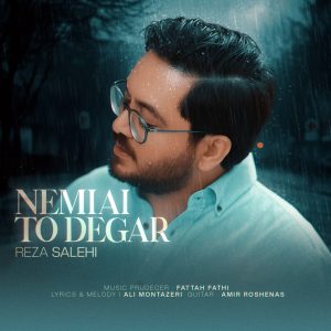 دانلود آهنگ رضا صالحی نمیایی تو دگر