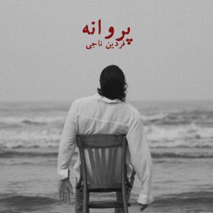 دانلود آهنگ فردین ناجی پروانه